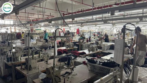 智慧行定制化咨詢 企業(yè)GSS驗(yàn)廠無憂，高效拿證拓市場