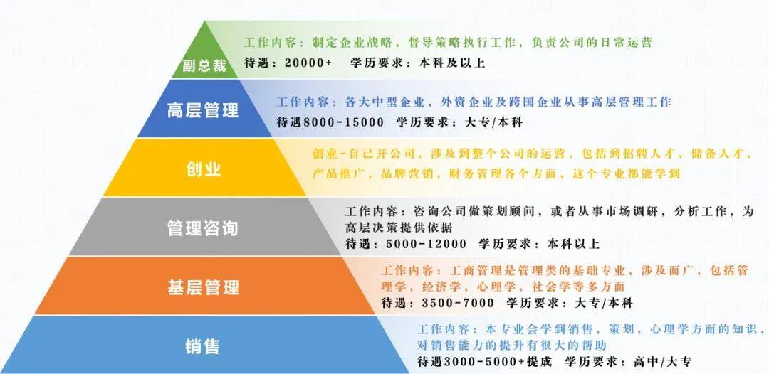 工商企業(yè)管理專業(yè) 聚焦企業(yè)管理咨詢的職業(yè)路徑解析
